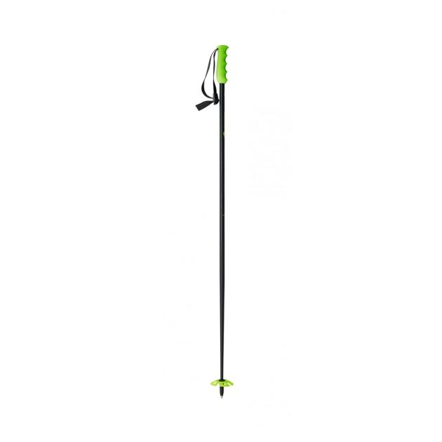 2021 FREERIDE PRO POLES